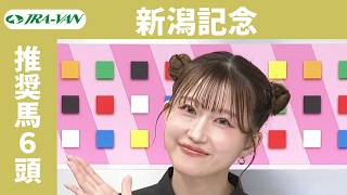 【新潟記念 2026】JRA公式データを深掘！推奨馬発表！/ JRA-VAN【公式】
