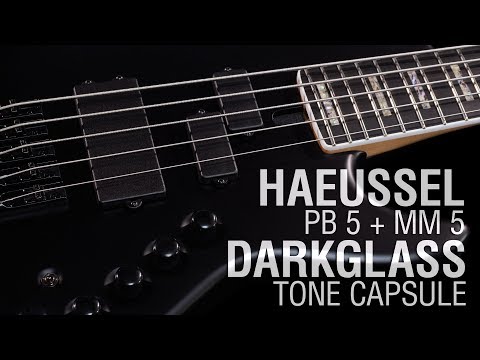 Haeussel PB5 & MM5 + Darkglass Tone Capsule // Maruszczyk Elwood L5a-24