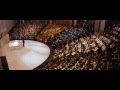Divergent IMAX® Trailer #2