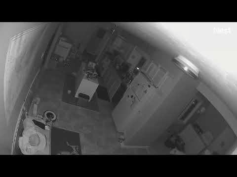 biggest loudest wet dog fart sound ever. try not to laugh