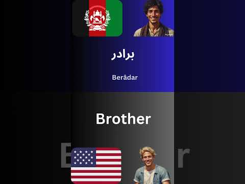 Family Members in Dari (Farsi) #shorts