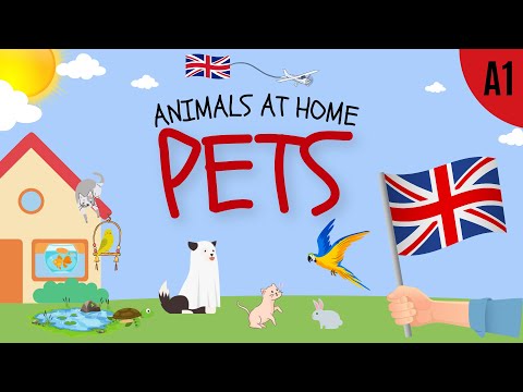 Pets Vocabulary  Animals at home  English ESL Lesson