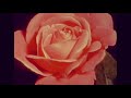 Mariah Carey The Wind Slowed Version