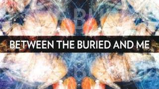 Between the Buried and Me - Specular Reflection (CLIP)
