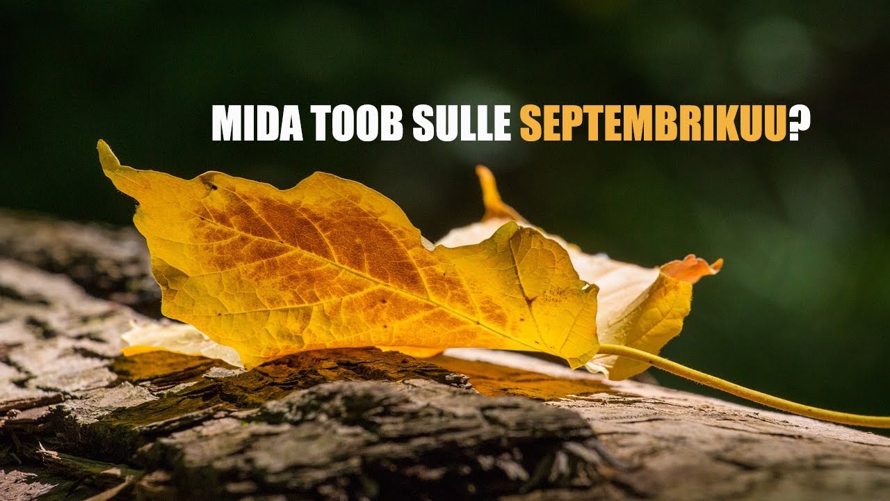Mida toob sulle septembrikuu? kaardilugemine 3 valikuga