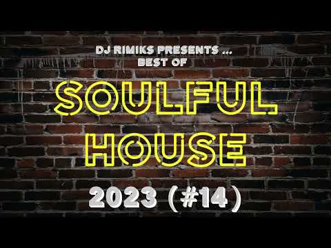 DJ Rimiks - The Best of Soulful House 2023 (#14)