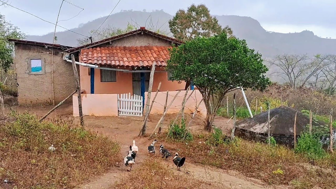 o dia começou sob neblina o que eles fizeram nessa manhã de domingo