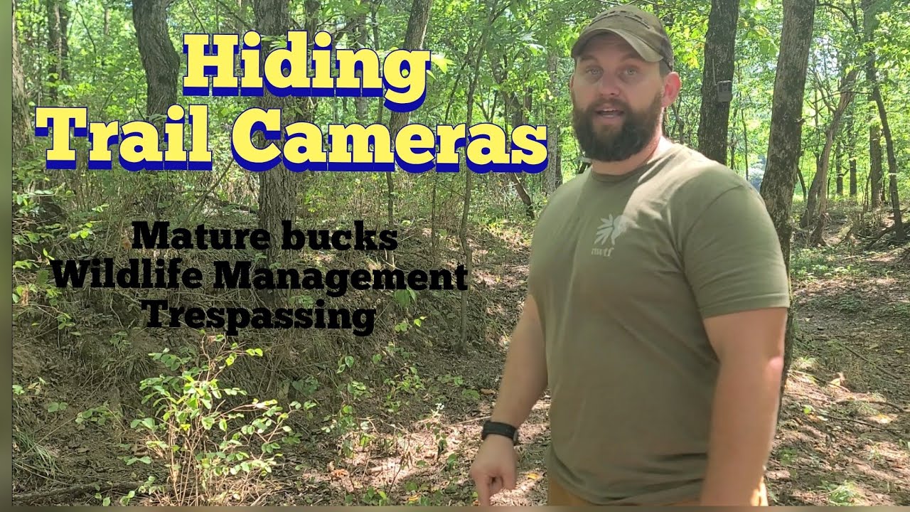 Hiding Trail Cameras | KOAM Outdoors Strategies