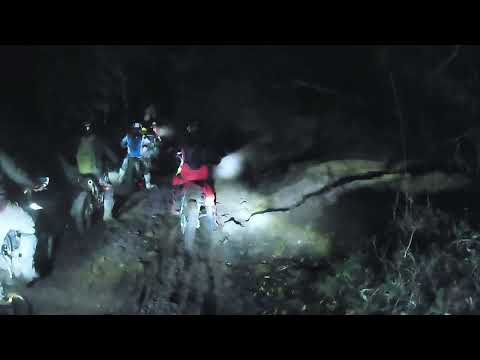 Trilla nocturna Arbolito Cerro Largo