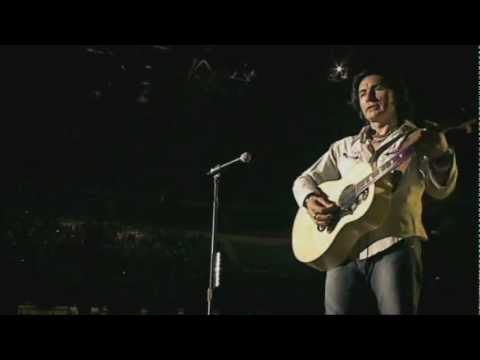 Ligabue - Ho messo via - live (HD)