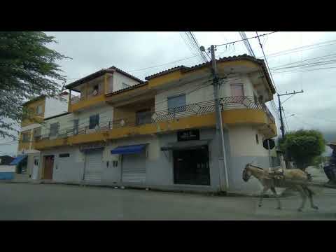 Várzea da Roça - Ba ( Parte 01 ) = 12/11/2025