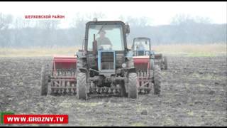 В Шелковском районе Чечни началась посевная кампания яровых культур 