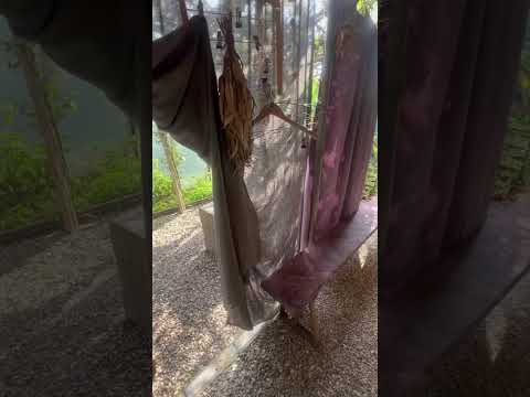 Дом под ключ ул. Мира, 1 - Кындыг, ул. Мира, 1 видео