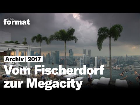 Vom Fischerdorf zur Megacity – wie die Welt verstädtert (2017)