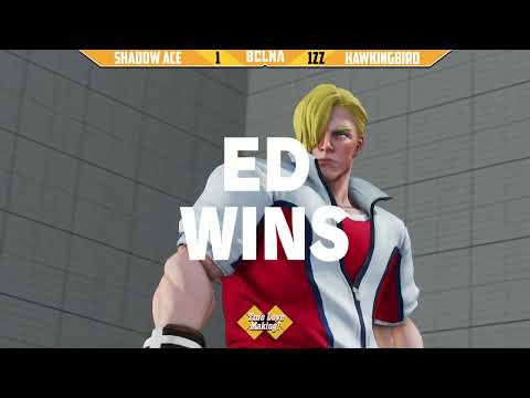 FT10 - Shadow Ace vs Hawkingbird [SFV]