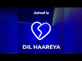Ashraf Iz DIL HAAREYA Audio