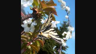 This mortal coil - you and your sister