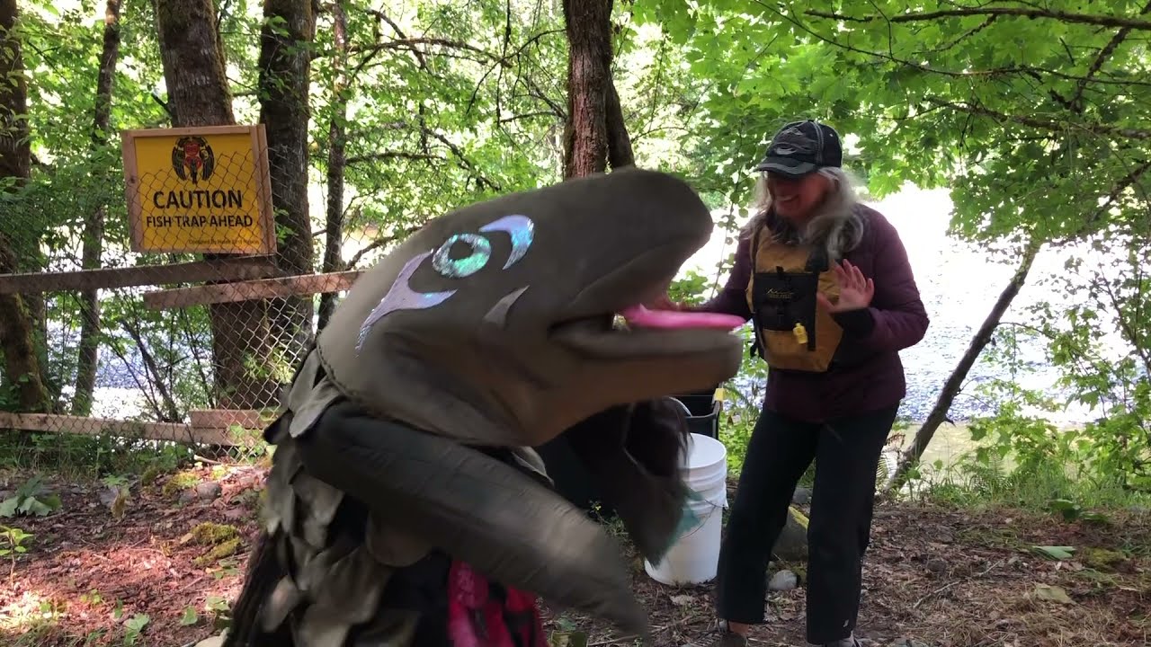 YouTube video thumbnail