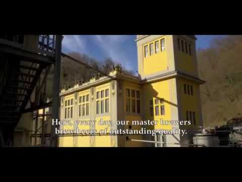 Celli & Carlsberg Partnership