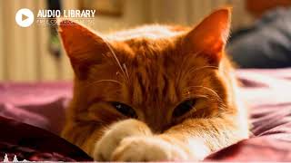 No Copyright Music Jazz Comedy   Bensound