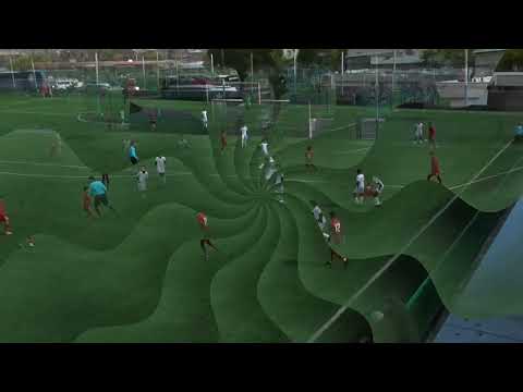 NAREK SARGSYAN 2011 PYUNIK (6)