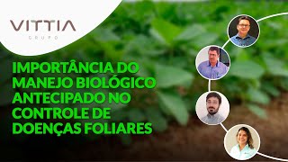 Vantagens do manejo biológico antecipado para o controle de doenças foliares na soja