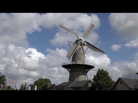 Waterpop sfeerimpressie middag 2017