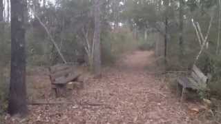 preview picture of video 'Pedaling Public Land in SouthEast Texas Piney Woods'