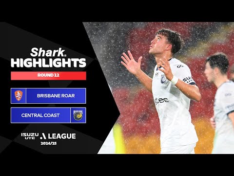 bg-highlight