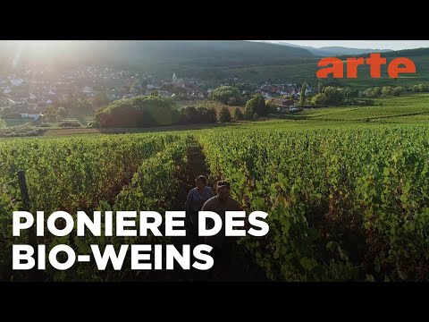 Frankreich/Elsass: Der Pakt mit der Natur | Die wunderbare Welt der Weine | ARTE Fernweh