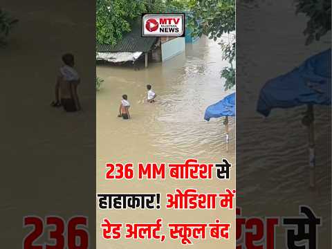 🌧️ Odisha Heavy Rain Alert: IMD Issues Red Alert, Schools Closed