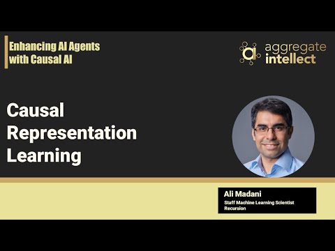 Causal Representation Learning