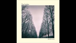 The Feelies - Flag Days