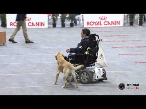 Bastia Umbra 2015 - Esibizione GHISMO