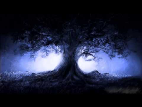 Tiven - Light and Shade