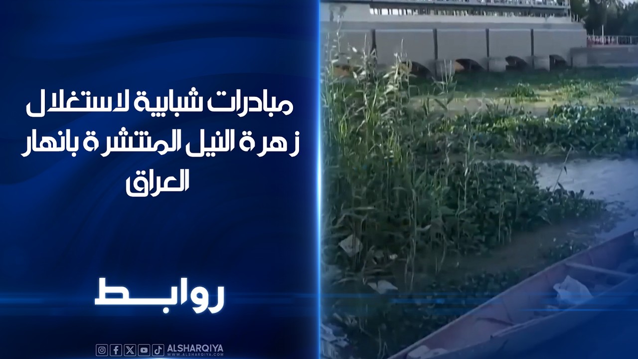 فيديو | مبادرات شبابية لاستغلال زهرة النيل المنتشرة بانهار العراق | روابط