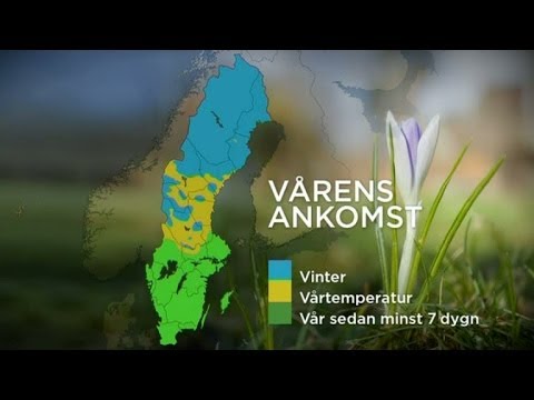 Meteorologen om den tidiga våren - Nyhetsmorgon (TV4)