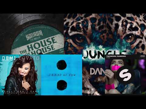 D&L vs Ed Sheeran vs Dannic - House Really Don't Care Of Shape Atom Jungle(JoeBrooker Mashup)