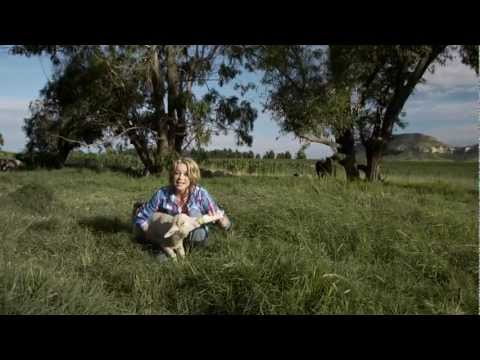 Pleister Vir My Hart video