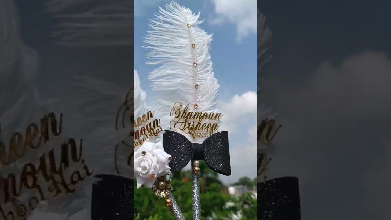 Royal Feather Pen #shorts #pen #sidranaim #trending