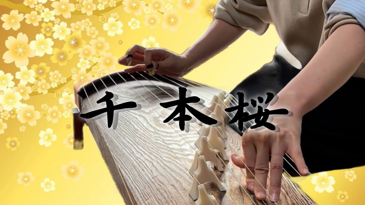 千本桜🌸SenbonZakura 箏独奏