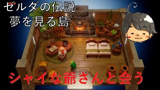 【ゼルダの伝説〜夢をみる島】だいきんの夢をみる島の大冒険　 Part1
