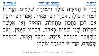 מסכת תמורה פרק ה משנה ד