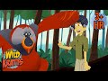 Super Smart Orangutans Full Episodes Wild Kratts