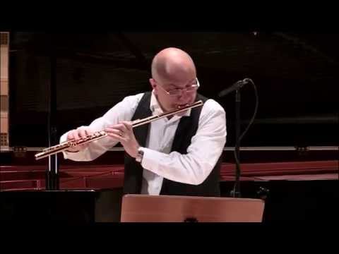 @ionbogdanstefanescu  Haydn - Serenada