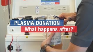 Plasma donation: what happens after