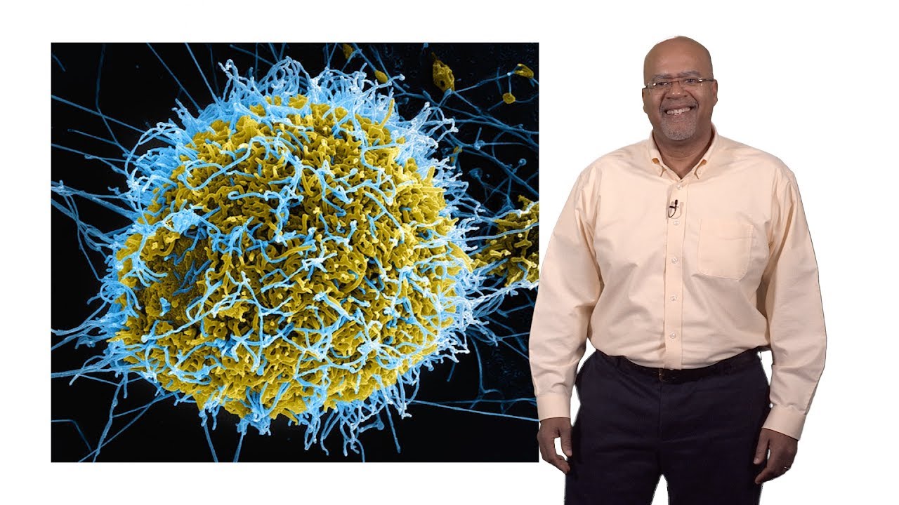 Paul E. Turner (Yale) 1: Introduction to Virus Ecology and Evolution