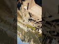 FPV | TRYP FPV