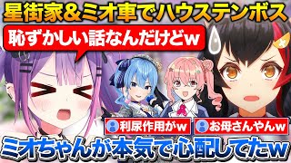 星街家とミオ車でハウステンボスに行ったトワ様+とある事でミオしゃに本気で心配されて恥ずかしかった話【ホロライブ/常闇トワ/星街すいせい/大神ミオ】