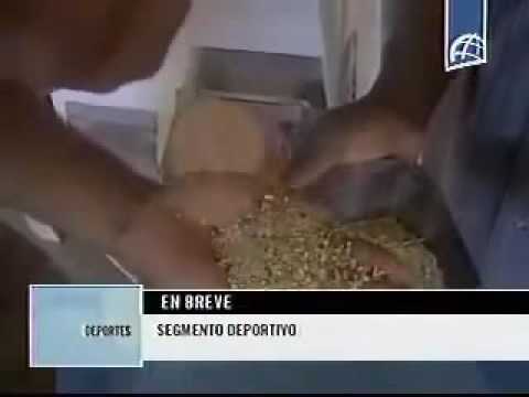 Serrano con su abanico en el NTV en vivo